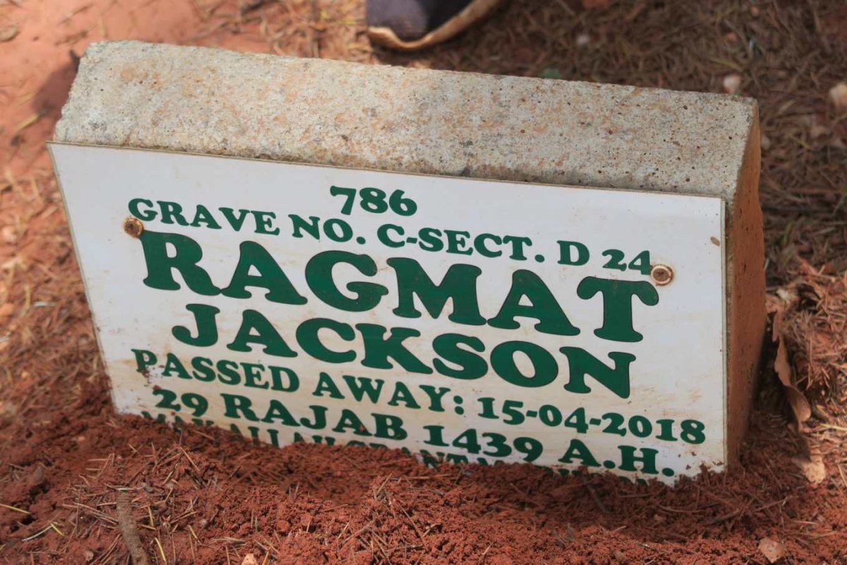 JACKSON Ragmat -2018