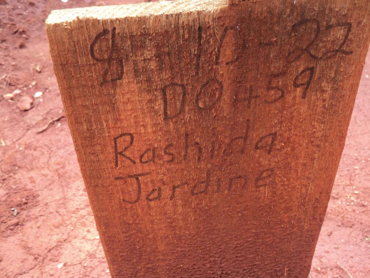 JARDINE Rashida -2022