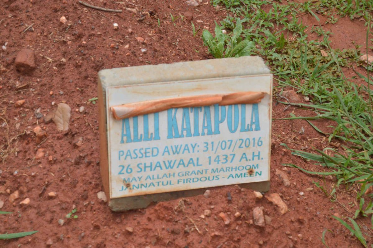 KATAPOLA Alli -2016