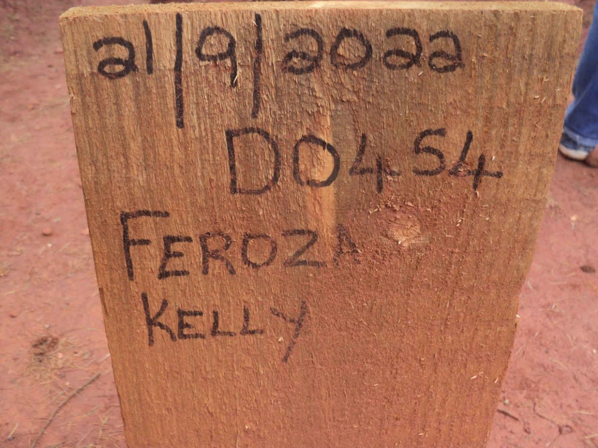KELLY Feroza -2022