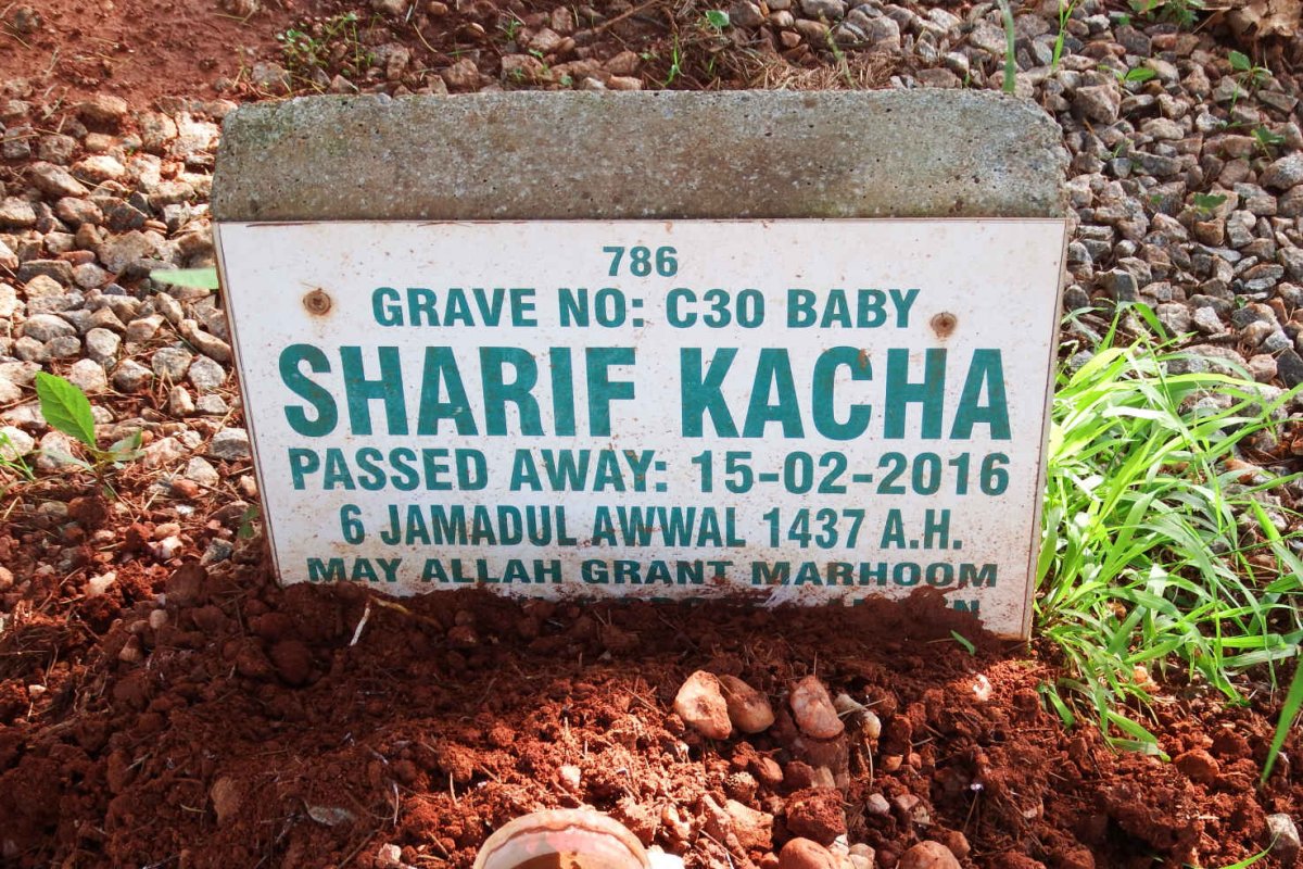 KACHA Sharif -2016