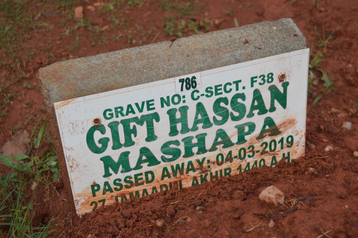 MASHAPA Gift Hassan -2019
