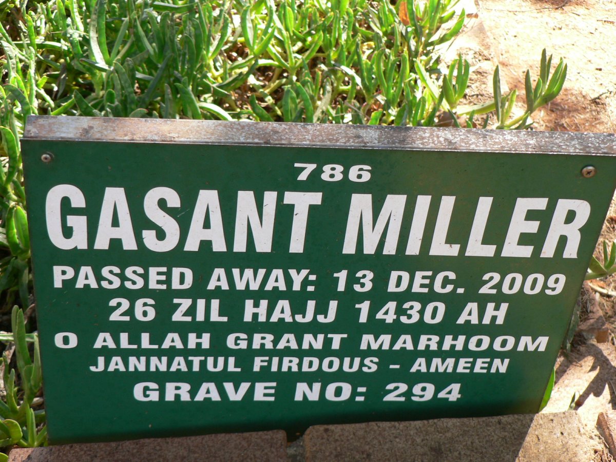 MILLER Gasant -2009