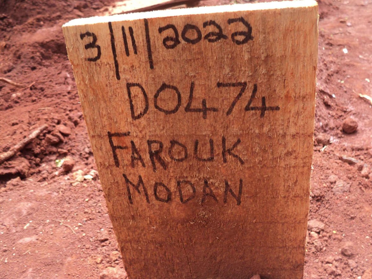 MODAN Farouk -2022
