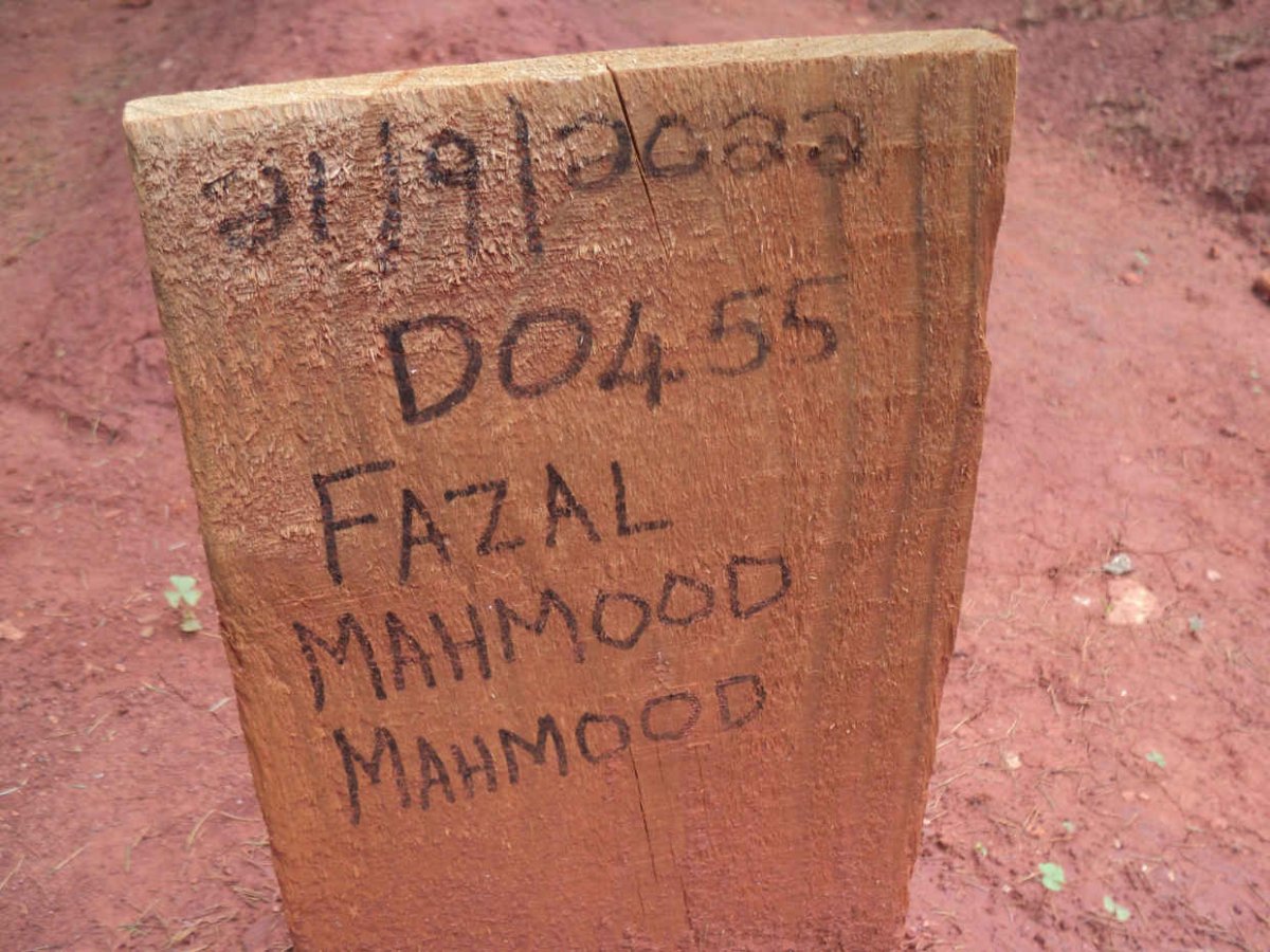 MAHMOOD Fazal Mahmood -2022