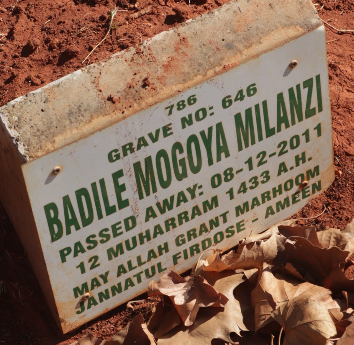 MILANZI Badile Mogoya -2011