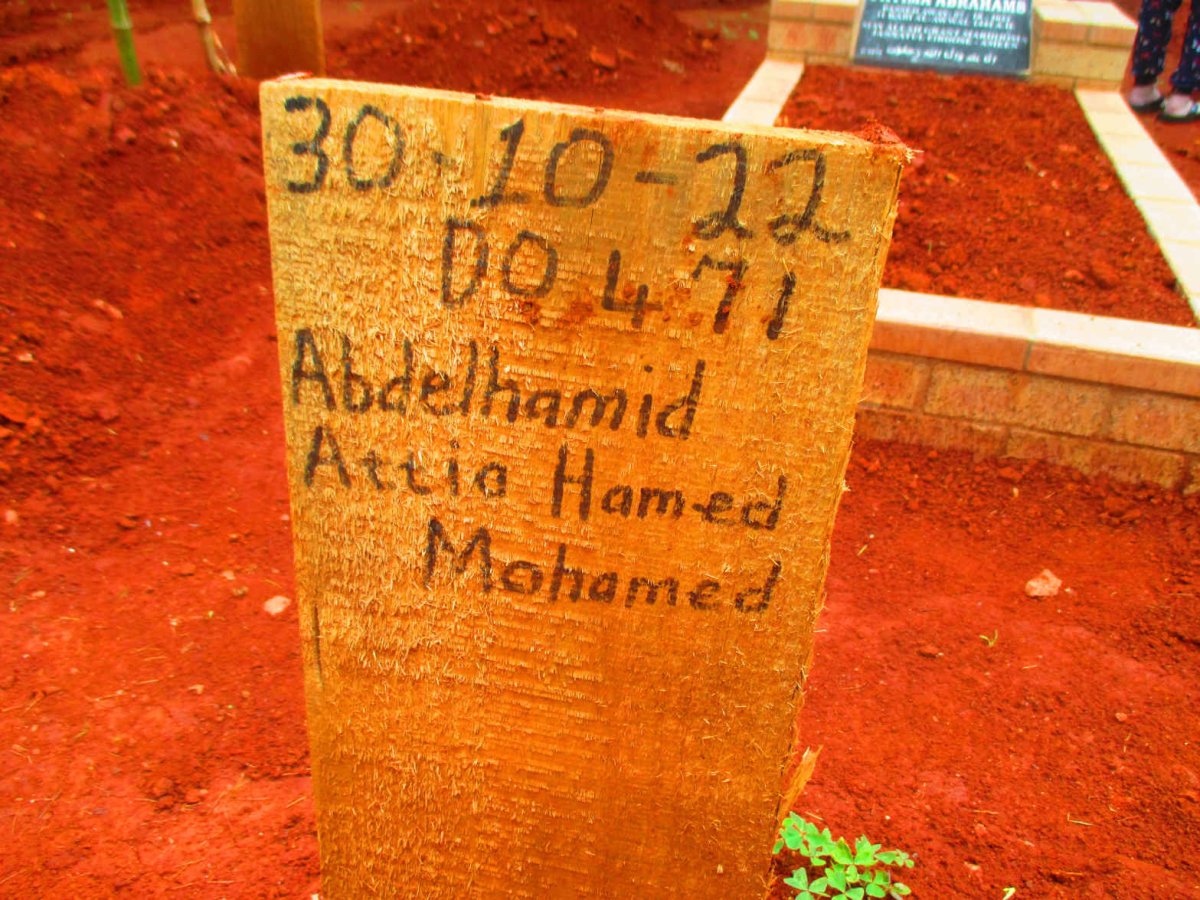 MOHAMED Abdelhamid Attia Hamed -2022