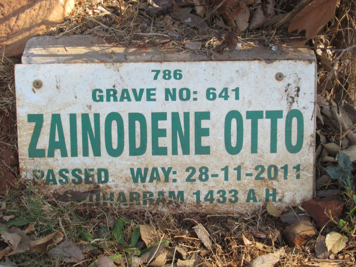 OTTO Zainodene -2011
