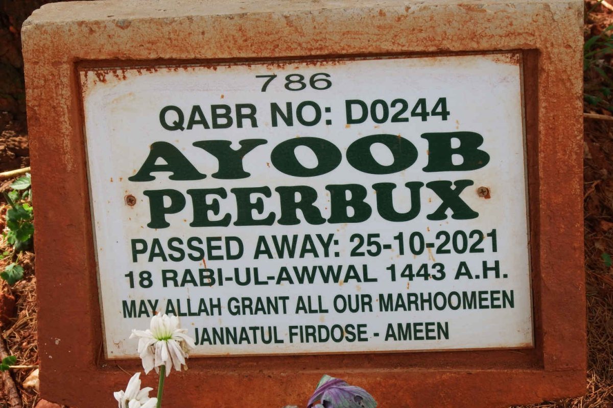 PEERBUX Ayoob -2021