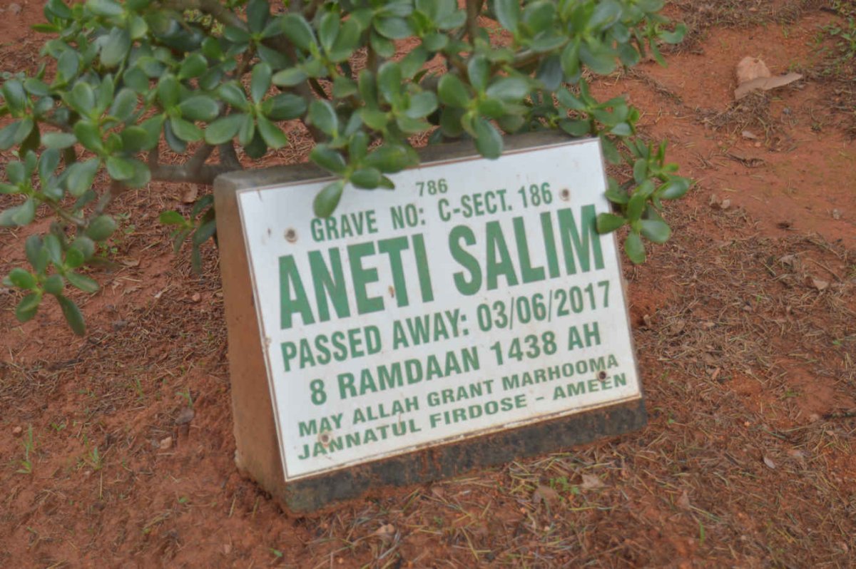 SALIM Aneti -2017