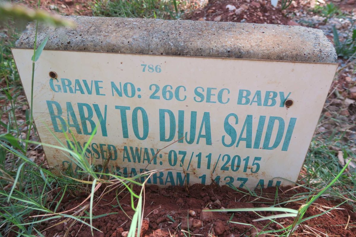 SAIDI Baby -2015