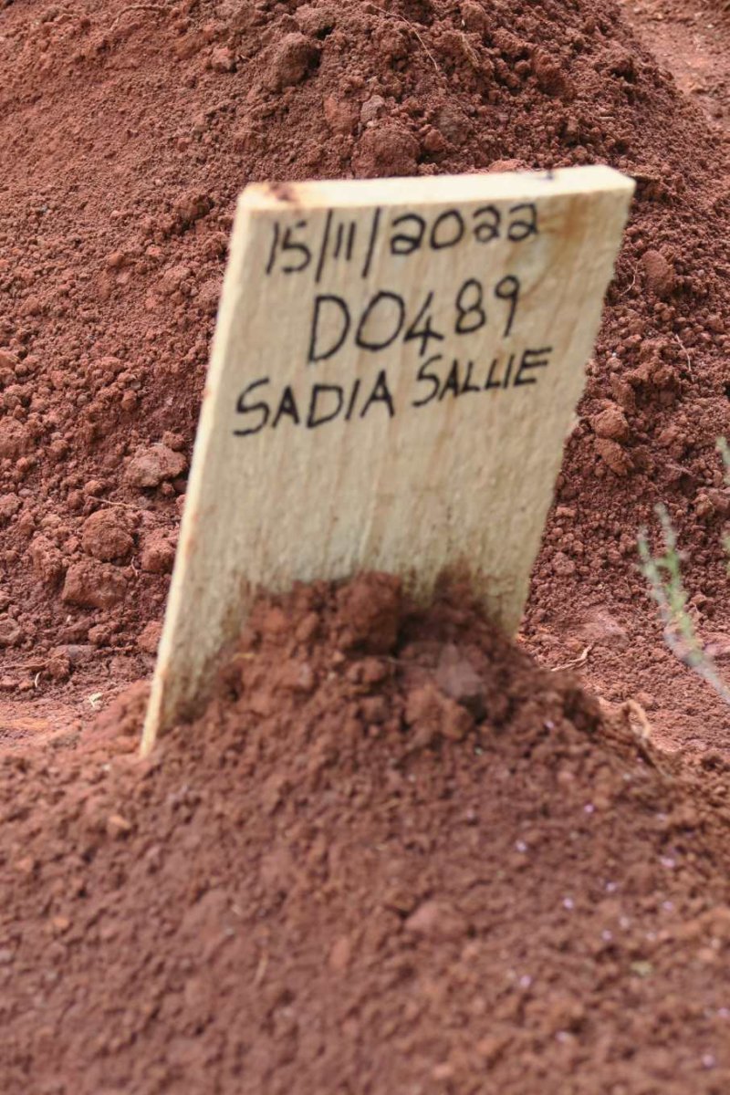 SALLIE Sadia -2022