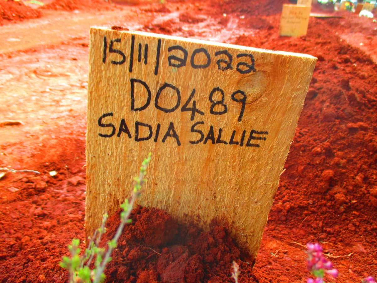 SALLIE Sadia -2022