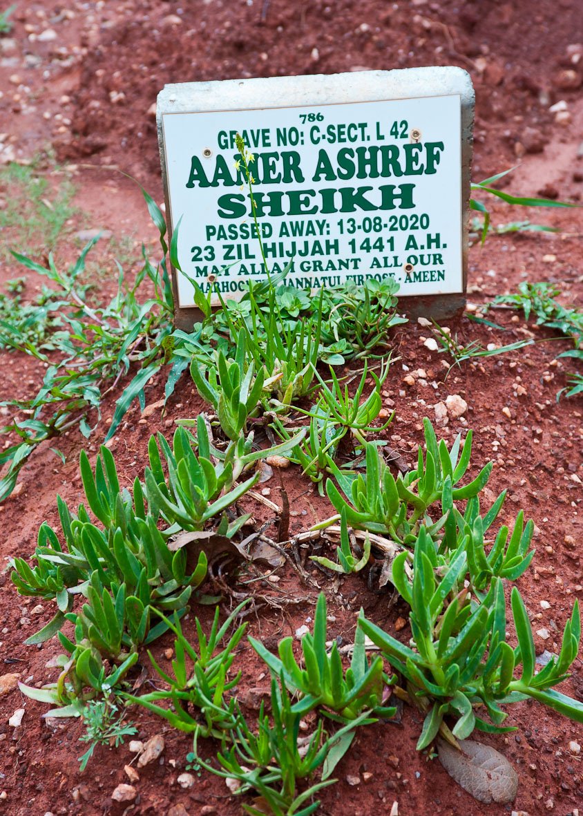 SHEIKH Aamer Ashref -2020