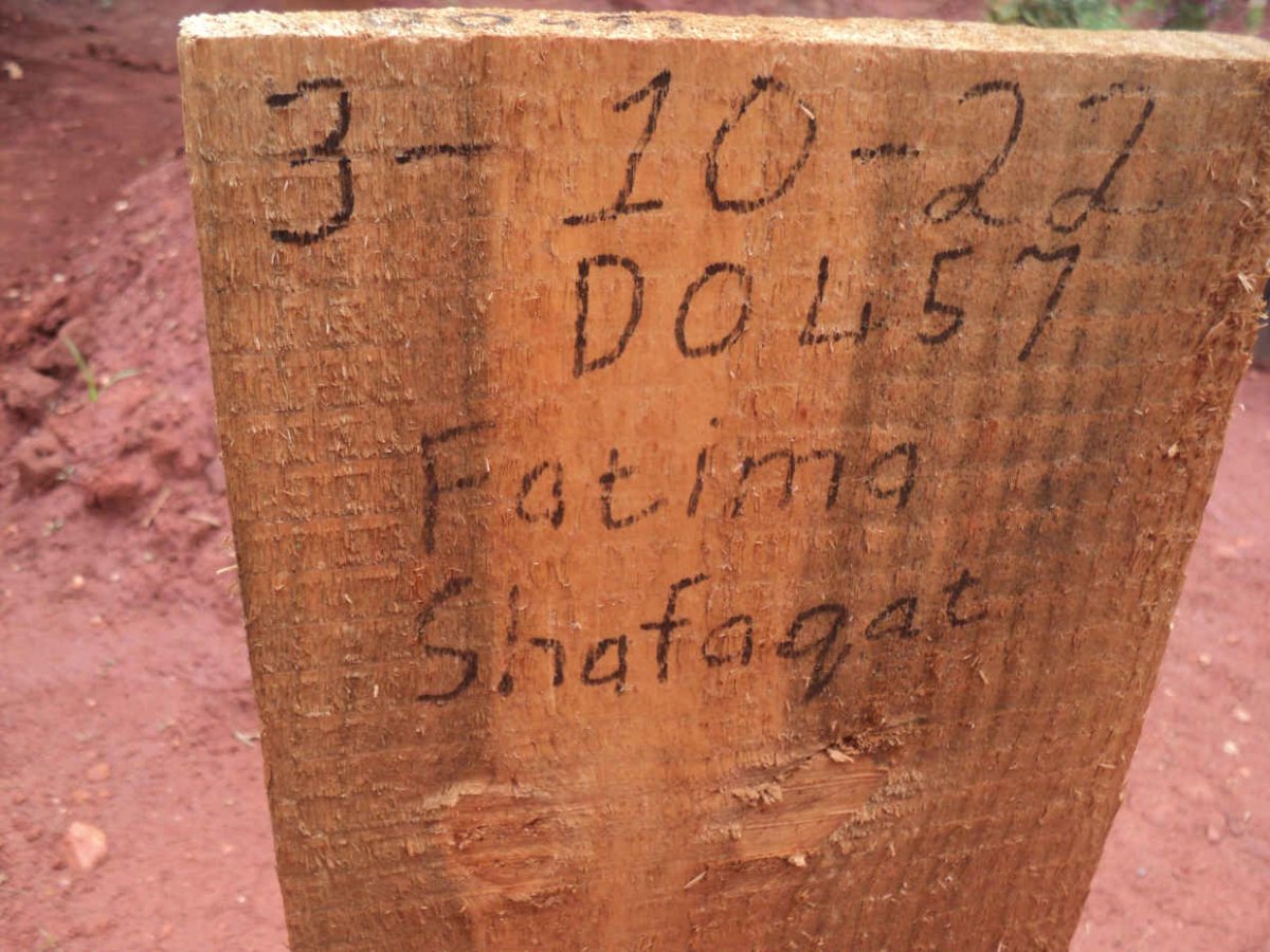 SHAFAQAT Fatima -2022