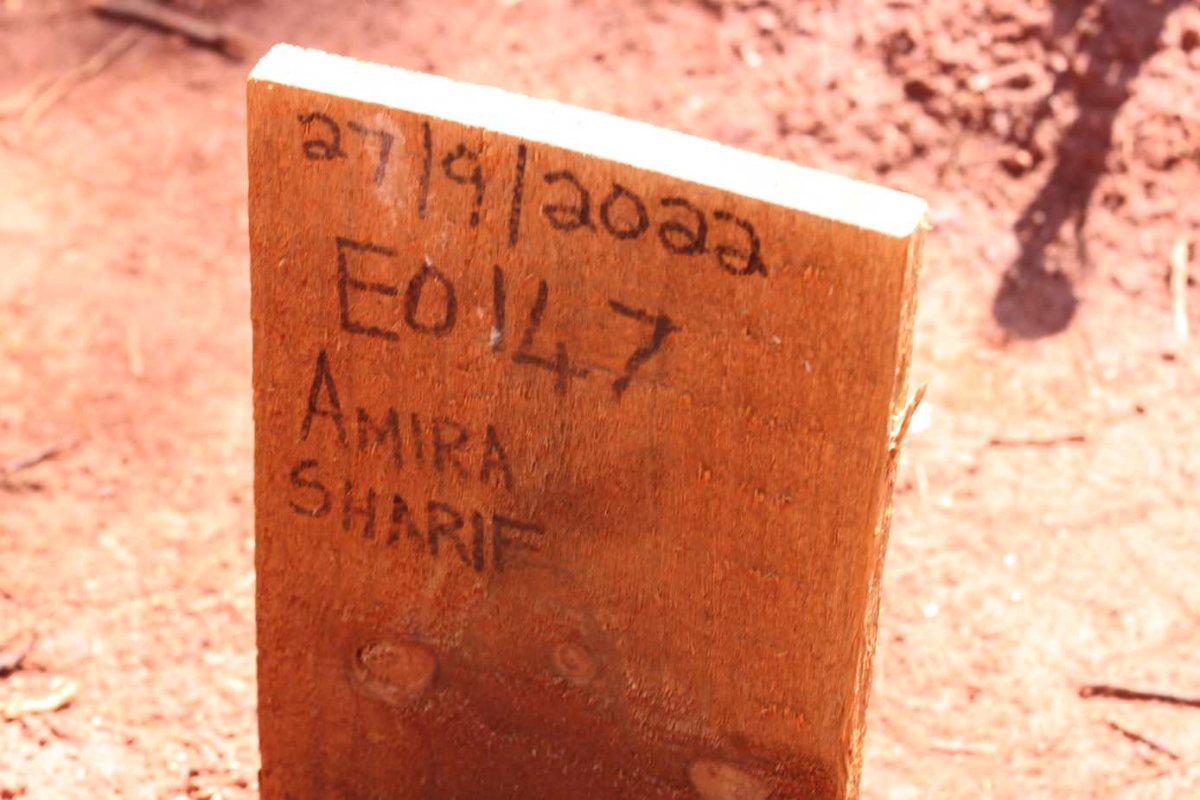 SHARIF Amira -2022