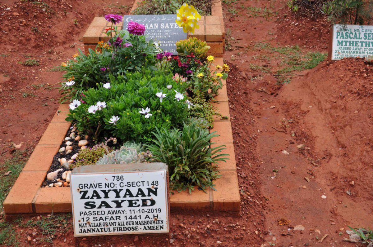 SAYED Zayyaan 2009-2019
