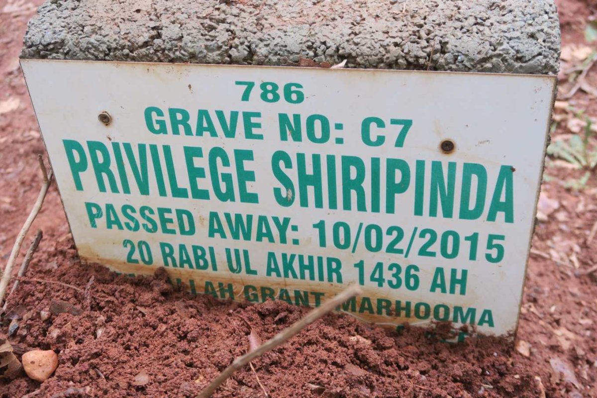SHIRIPINDA Privilege -2015