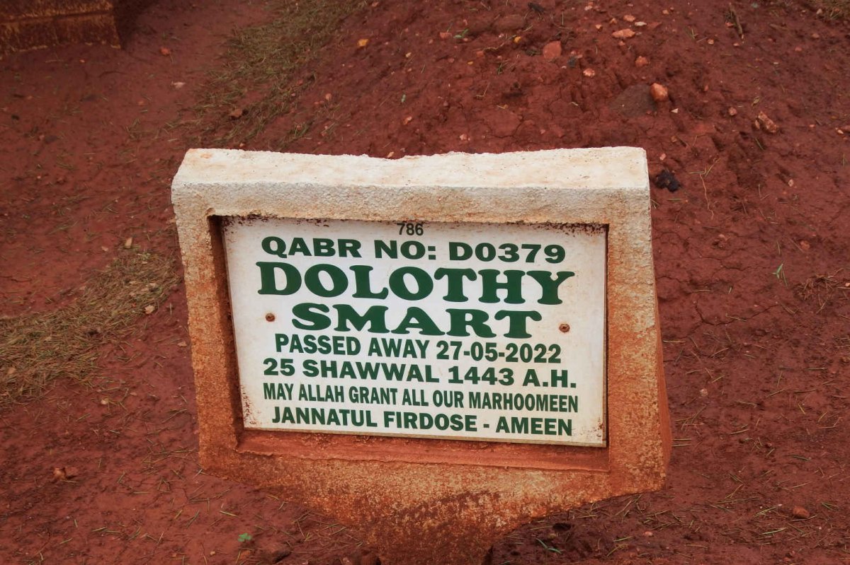 SMART Dolothy -2022