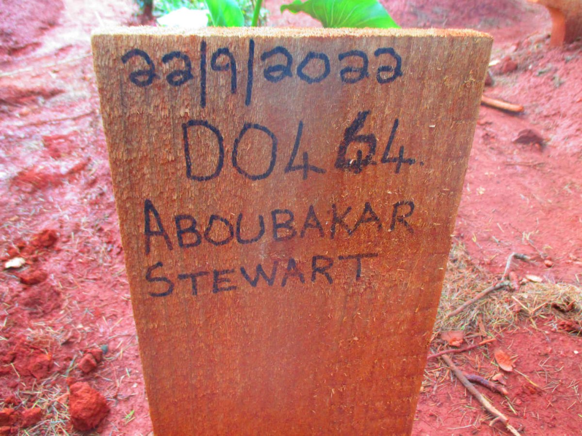 STEWART Aboubakar -2022