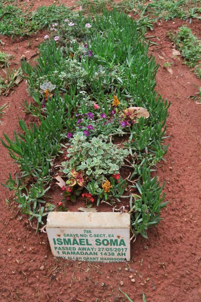 SOMA Ismael -2017