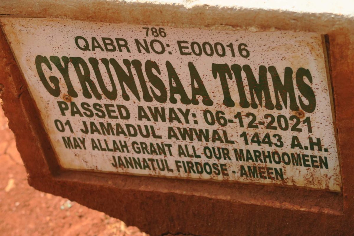 TIMMS Gyrunisaa -2021