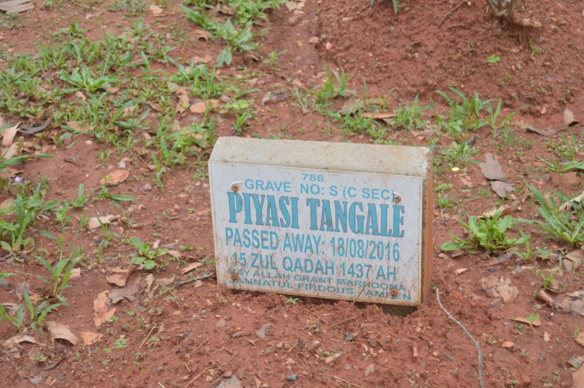 TANGALE Piyasi -2016