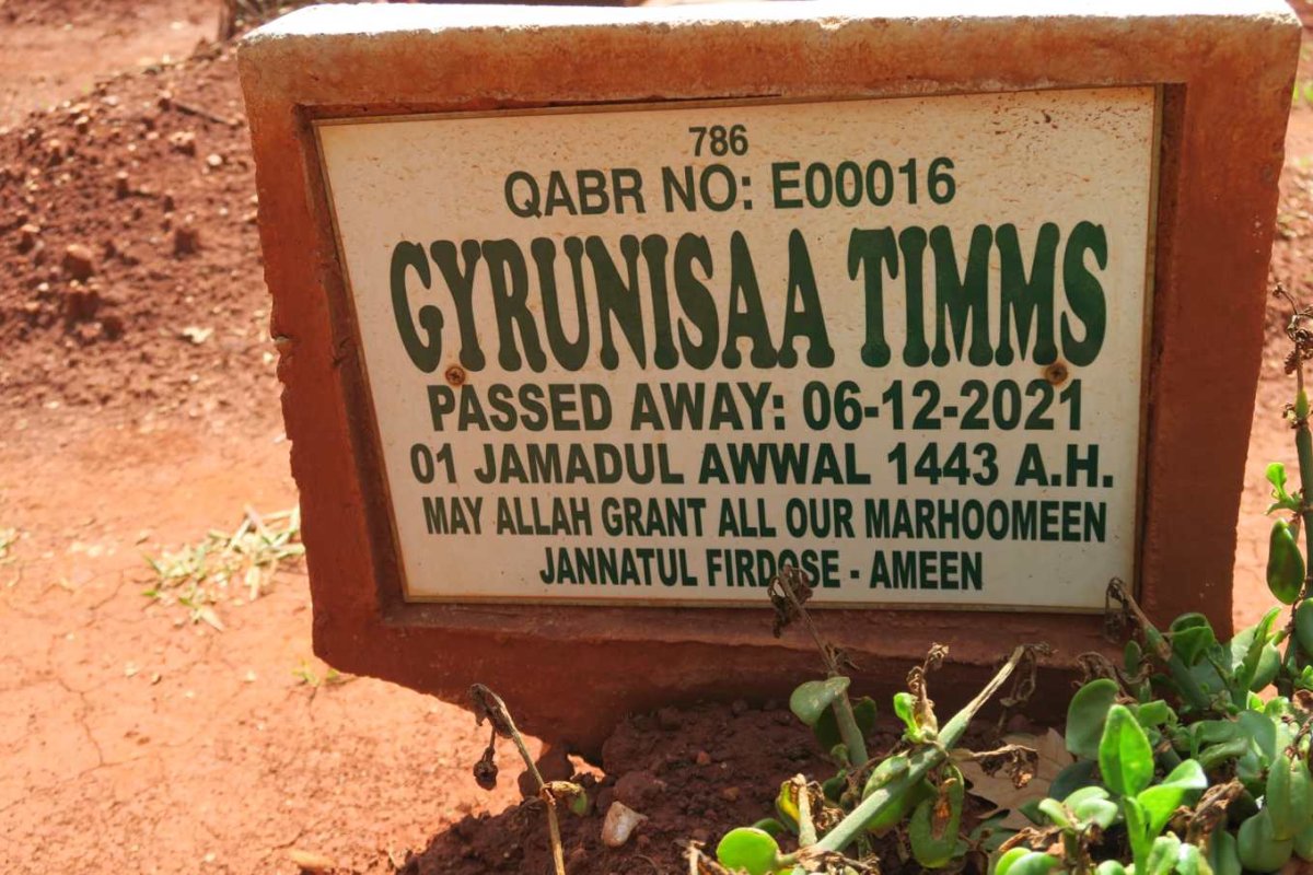 TIMMS Gyrunisaa -2021