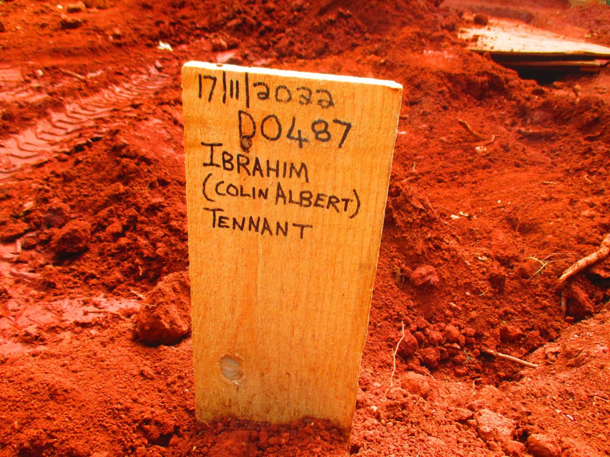 TENNANT Ibrahim -2022