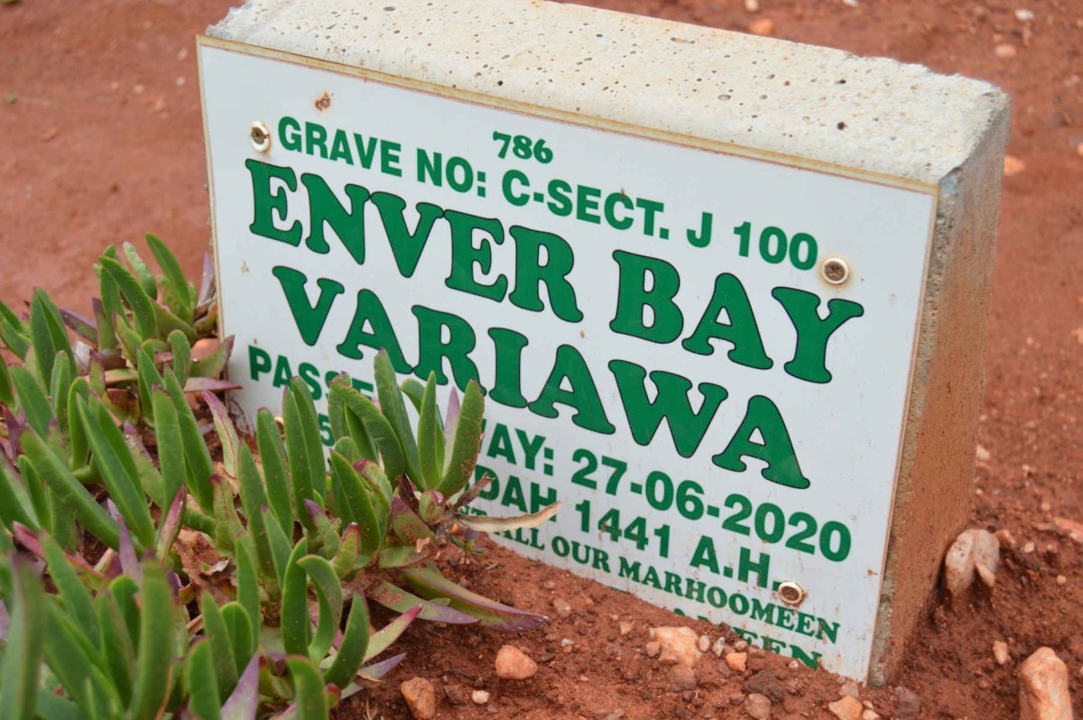 VARIAWA Enver Bay -2020