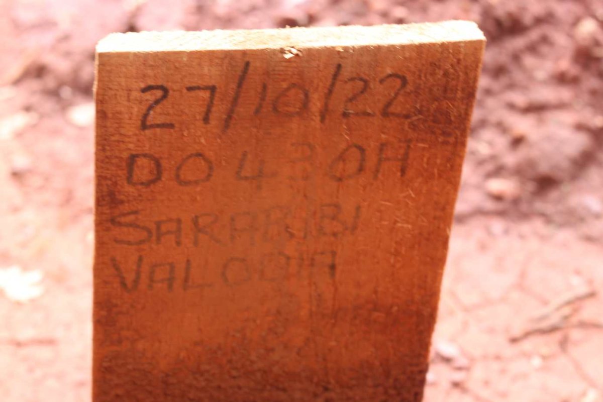 VALODIA Sarabibi -2022