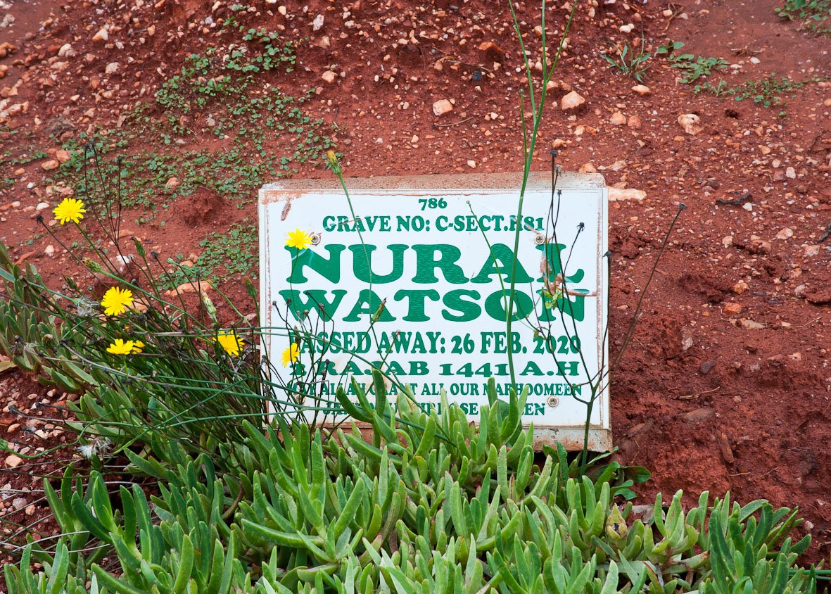 WATSON Nural -2020