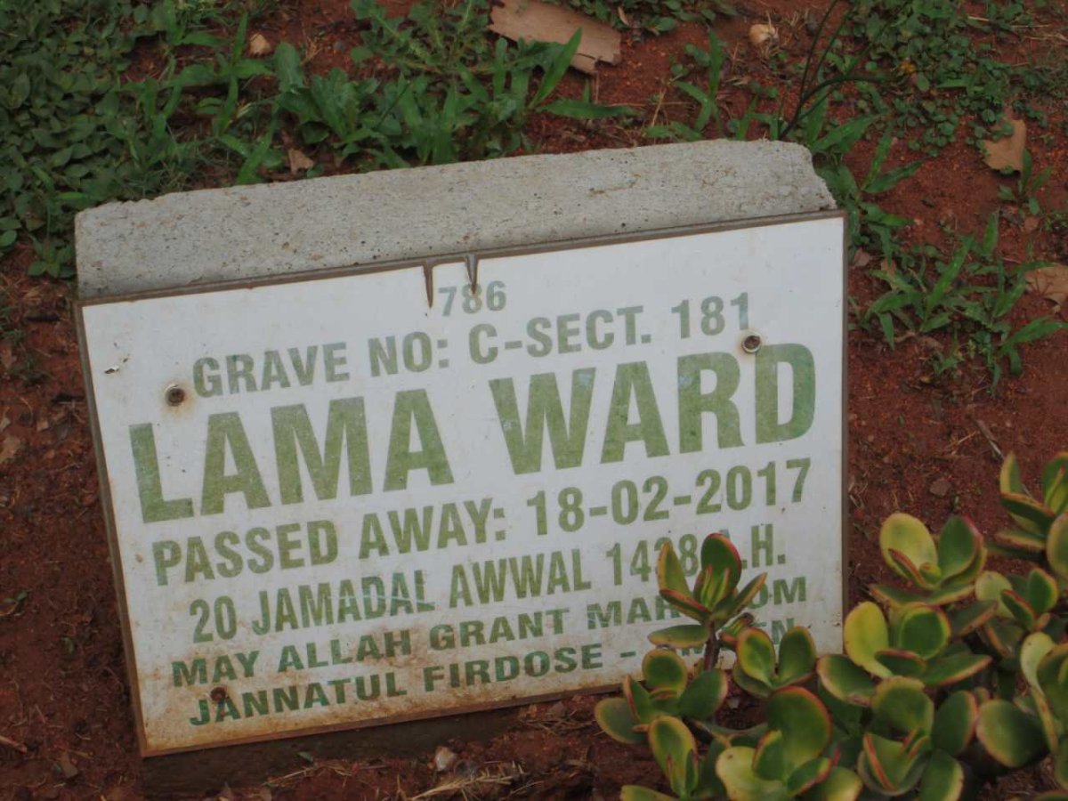WARD Lama -2017