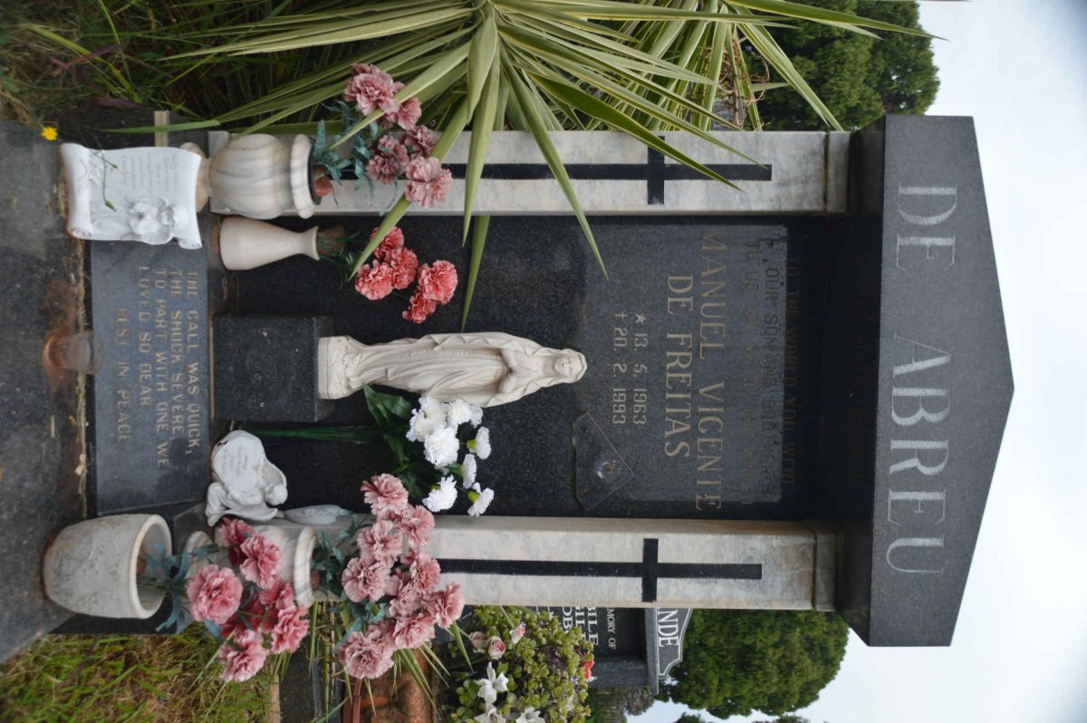 ABREU Manuel Vicente de Freitas, de 1963-1993