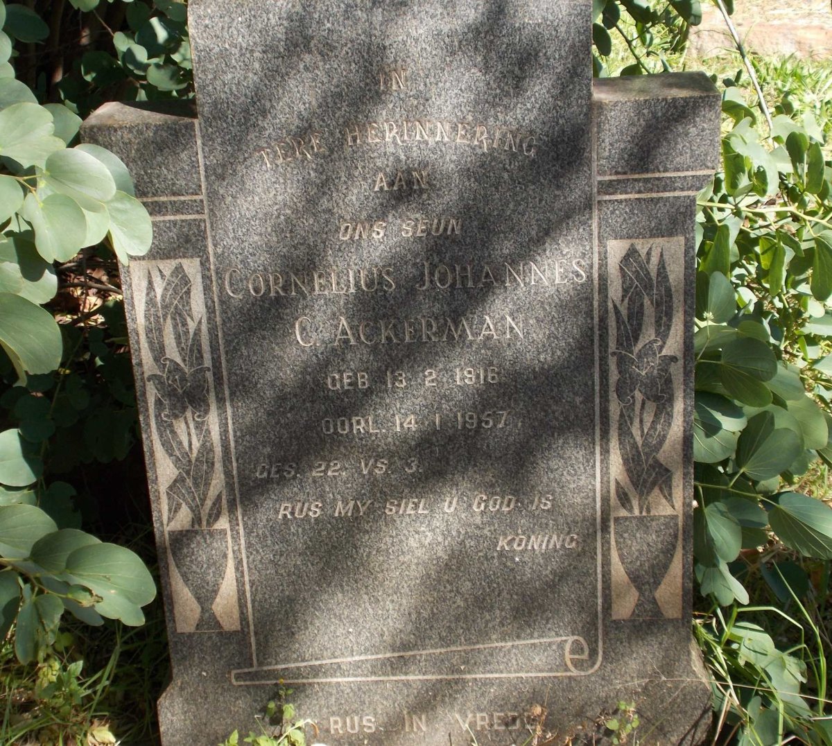 ACKERMAN Cornelius Johannes 1916-1957