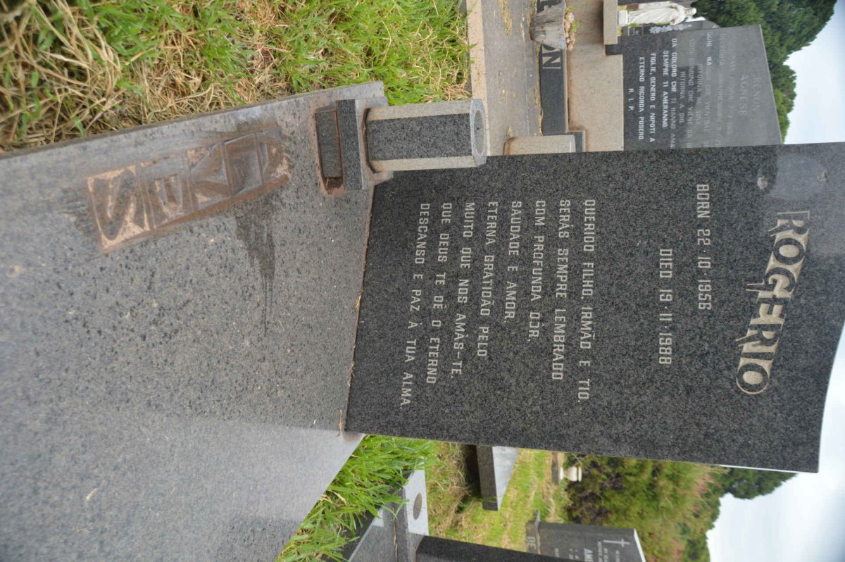 ALVES Rogerio 1956-1988