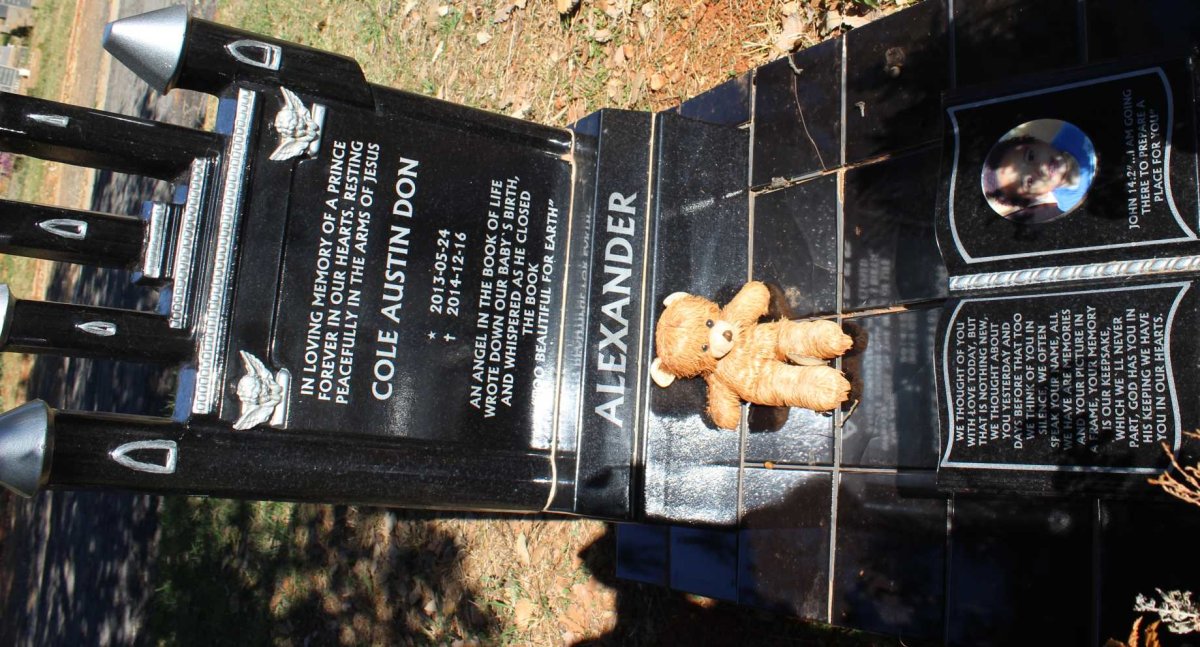 ALEXANDER Cole Austin Don 2013-2014