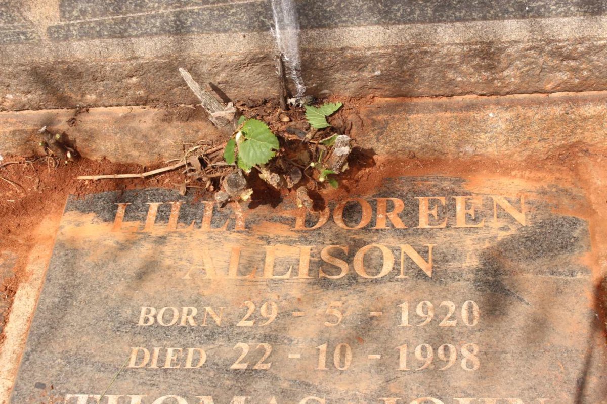 ALLISON Mary Agnes 1889-1949 :: ALLISON Thomas James 1916-2011