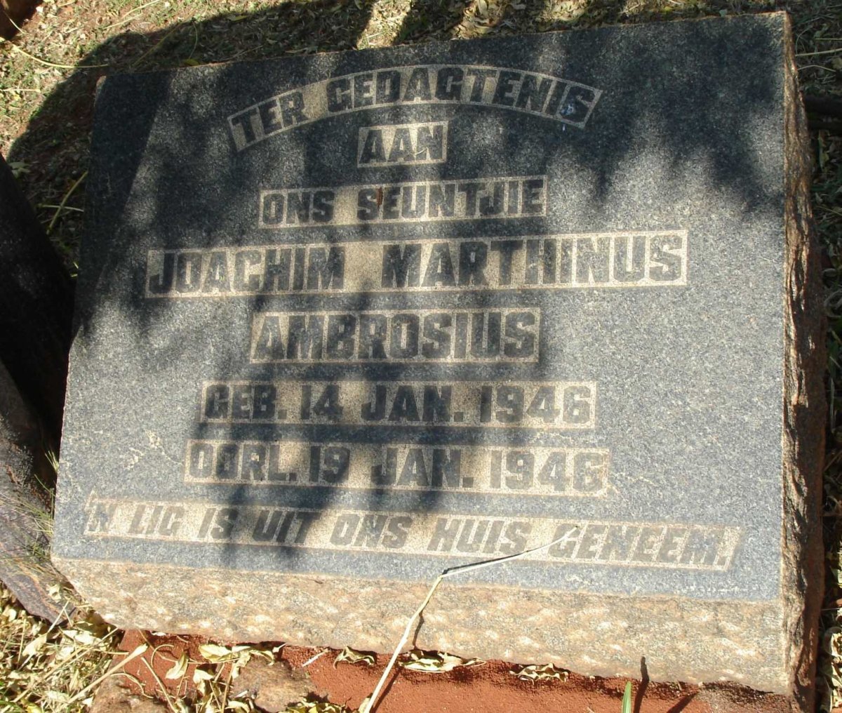 AMBROSIUS Joachim Marthinus 1946-1946