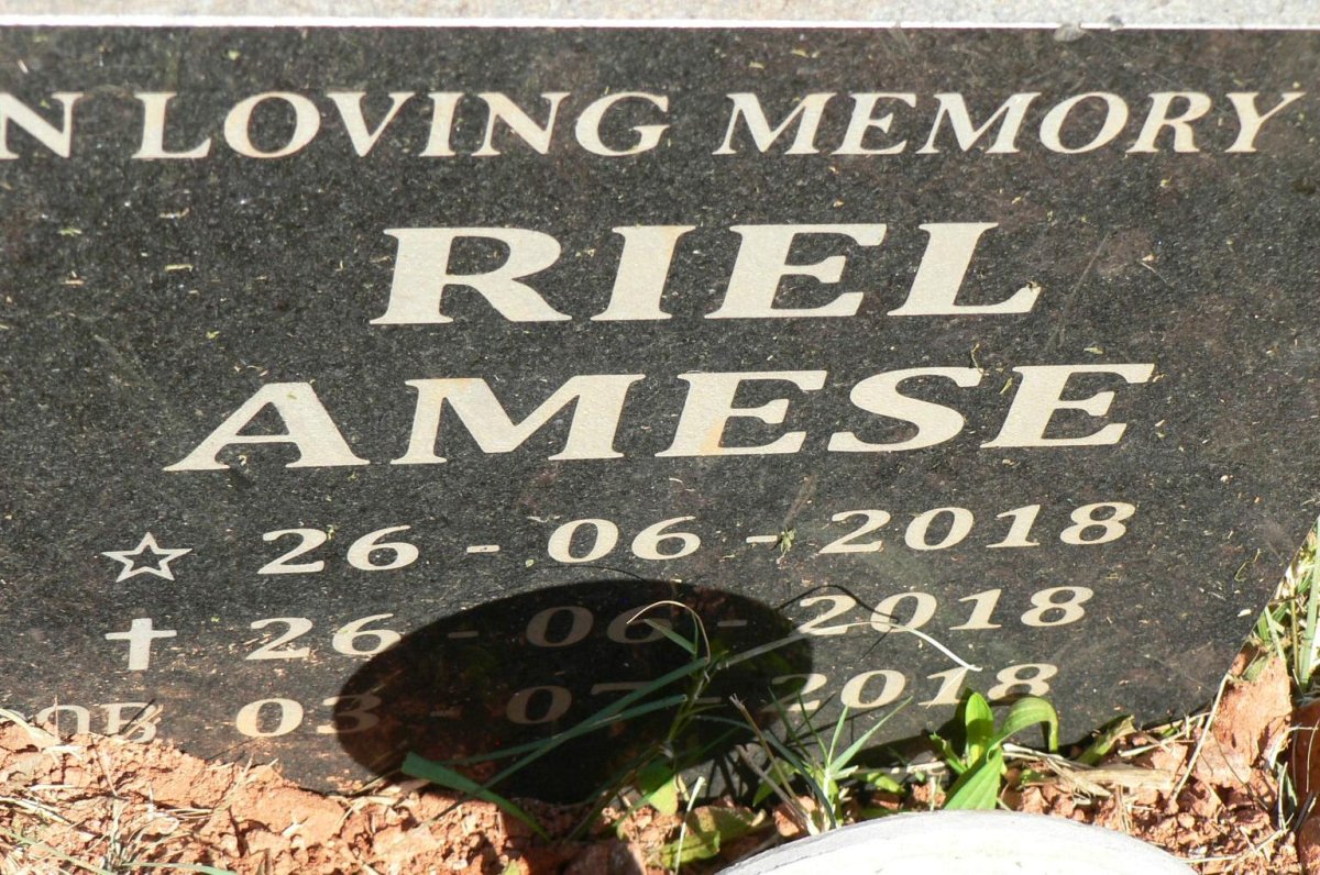 AMESE Riel 2018-2018