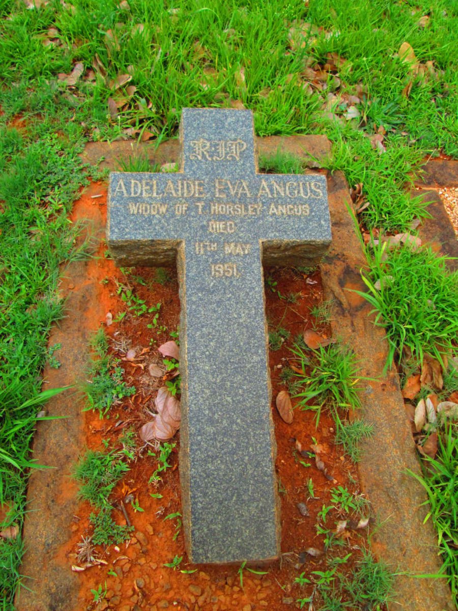 ANGUS Adelaide Eva -1951