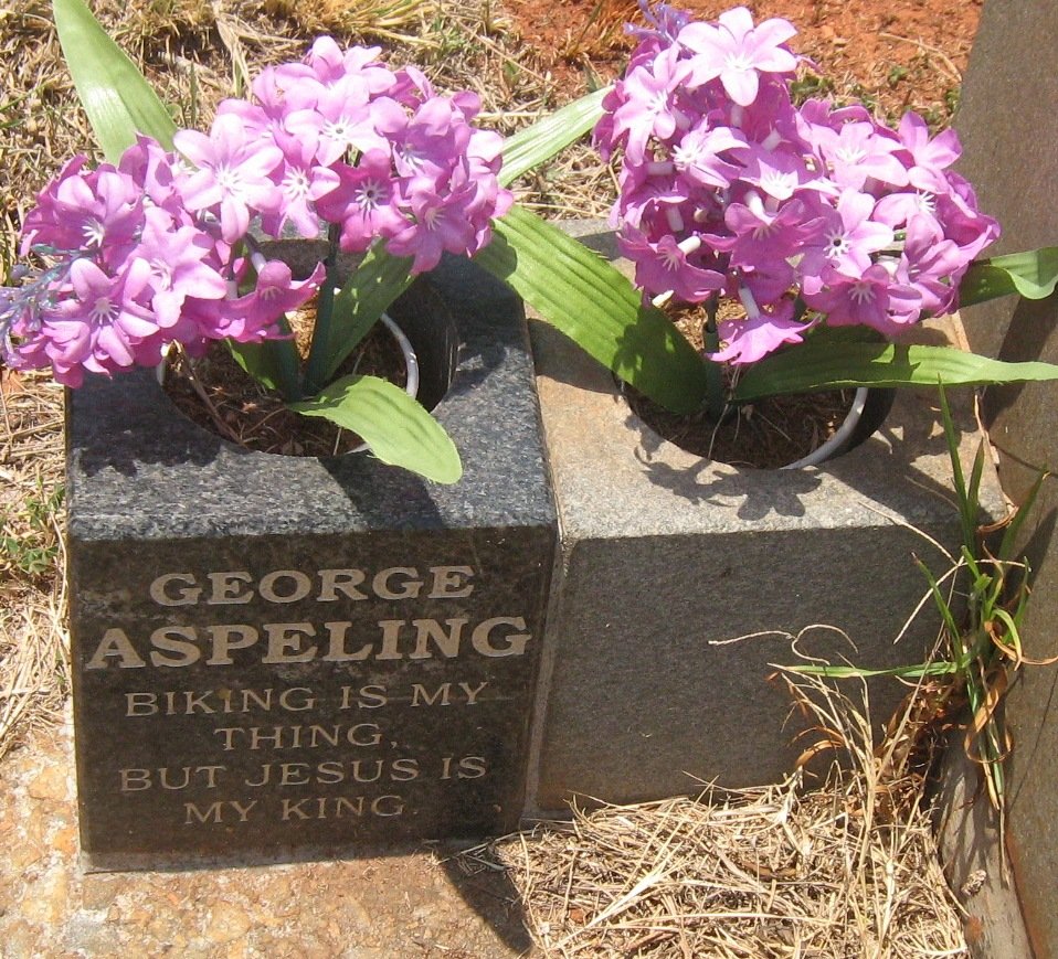 ASPELING George