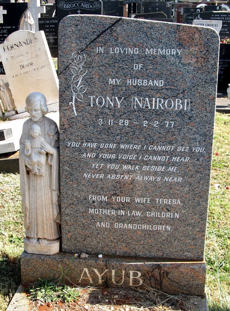 AYUB Tony 1928-1977