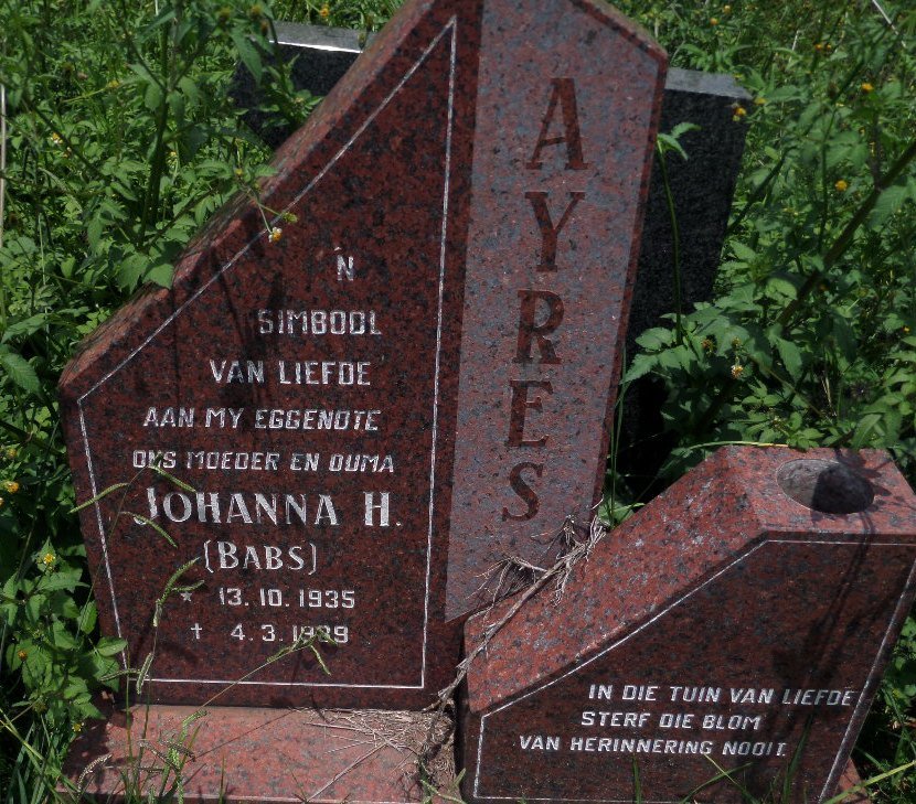 AYRES Johanna H. 1935-1989