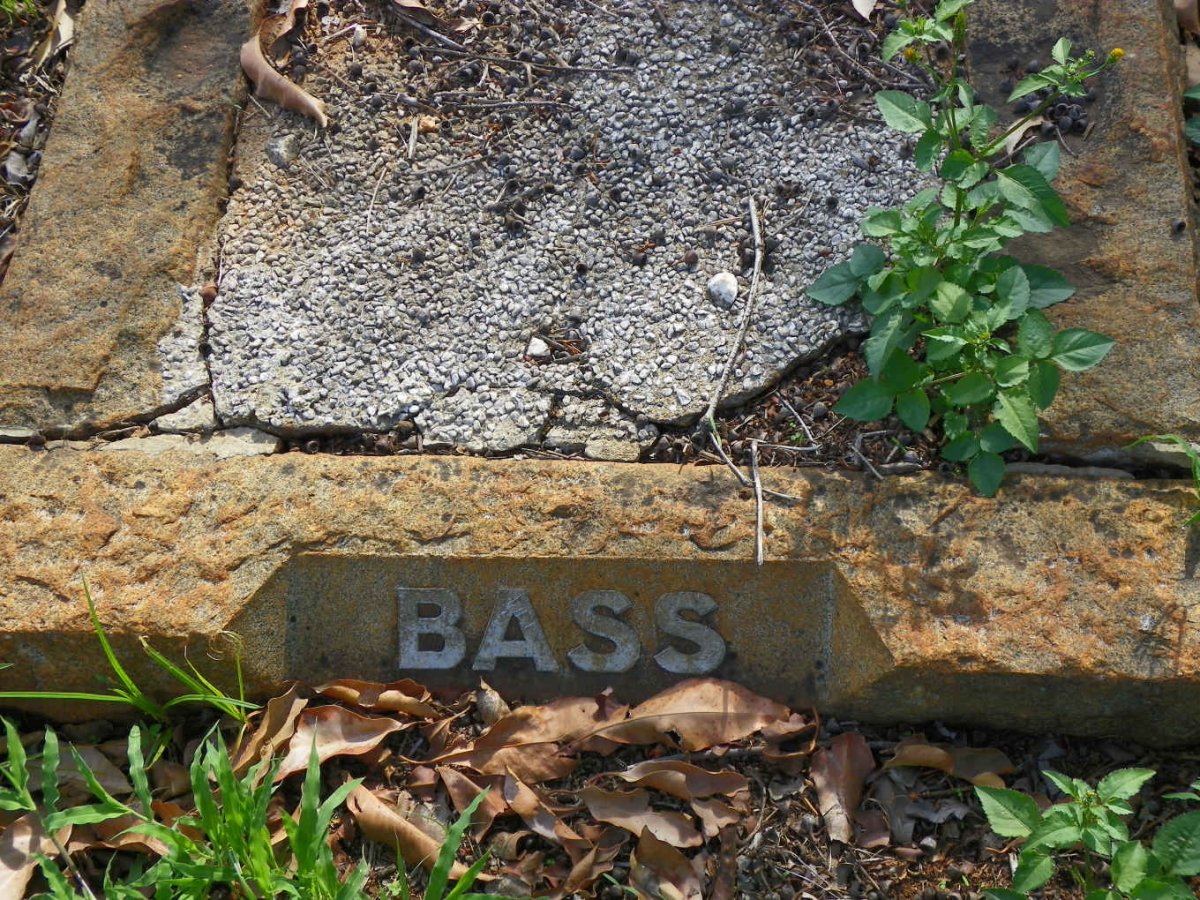BASS
