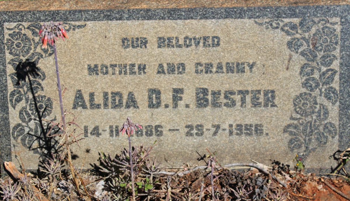 BESTER Alida D.F. 1886-1956