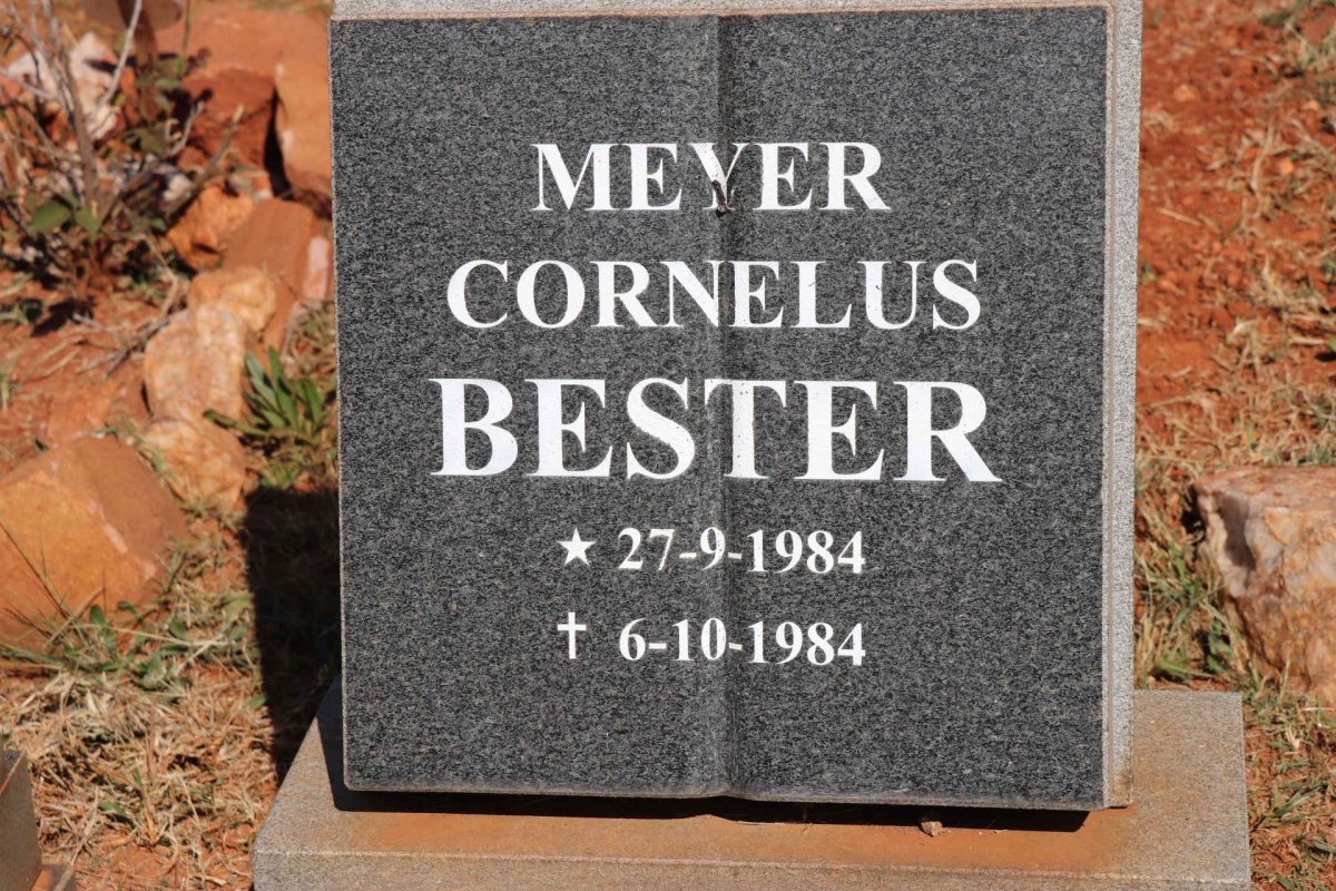 BESTER Meyer Cornelus 1984-1984