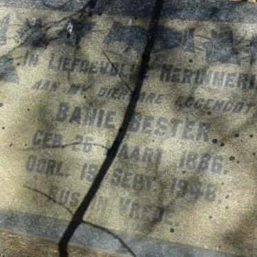BESTER Banie 1886-1948
