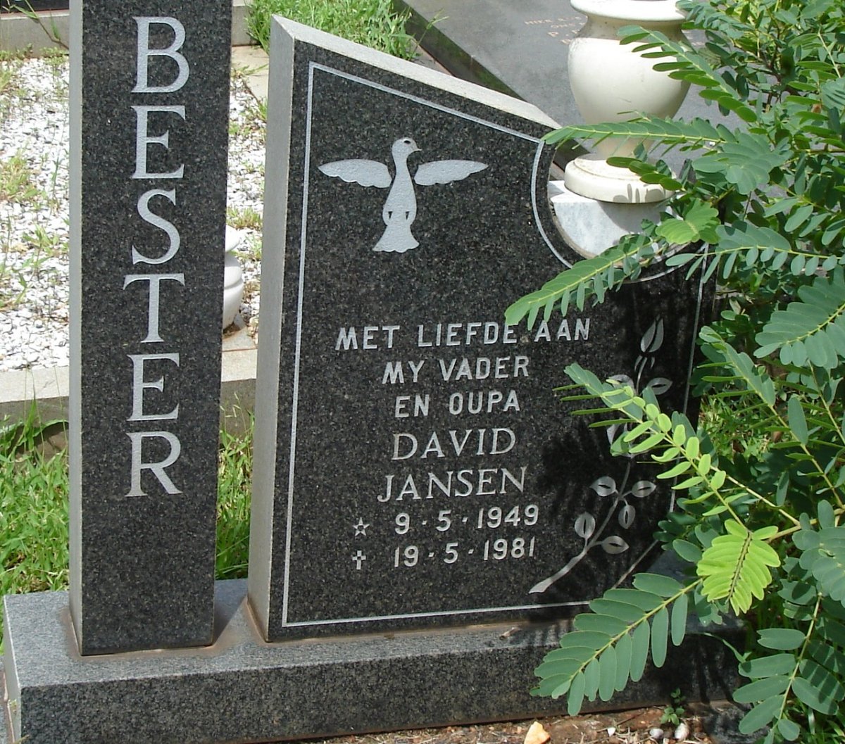 BESTER David Jansen 1949-1981