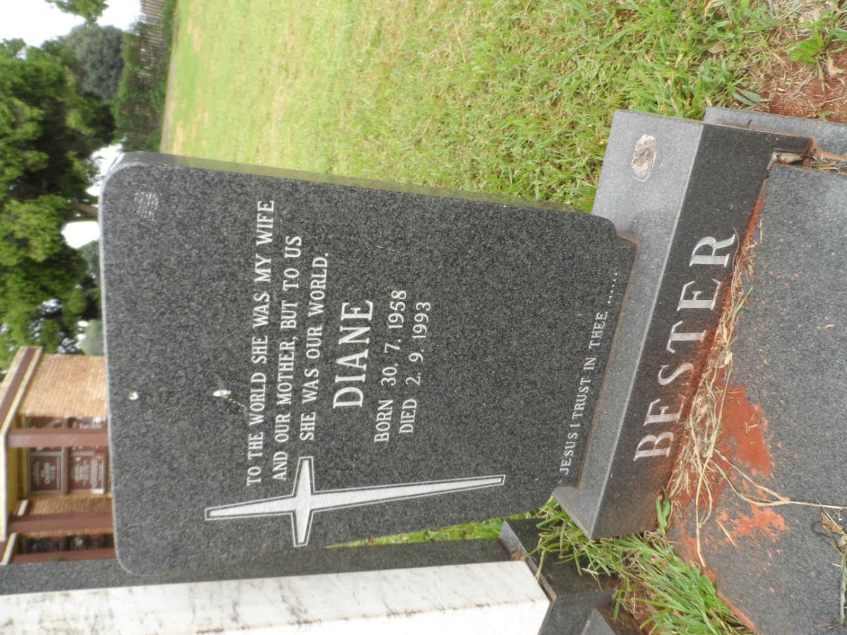 BESTER Diane 1958-1993